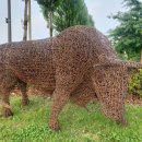 RENEW-태초의  이미지