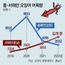 기후변화에… 동해안 어종이던 오징어, 서해서 더 잡혀… 오징어 1마리, 동해 3만원-서해 7000원 이미지