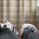 인동정형외과의원 이미지