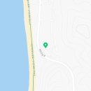 장꽁(카멜리아) 이미지