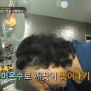 회춘명약