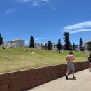 D.S당구클럽 | 8일] Day 3🩷 본다이비치 수영장, Bondi Surf Seafoods, D.Bowls Acai Bondi, Chemist 쇼핑, Bar Totti’s