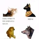 파주제일한의원 | 11월 조각1:: 가을 화담숲, 20년 전의 나에게 꽃을 건네다