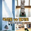 몸살리는 국선도 | 몸이 치유되는 힐링 운동, 국선도 vs 혈기도