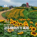 강주마을회관 | 함안 여행, 2024년 &#39;제12회 강주해바라기축제&#39; 후기