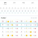 장안벚꽃길 이미지