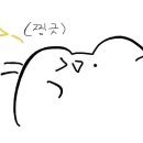 프루티크로플 네이버블로그
