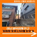 서판교로32번길 | 성남 벌목업체 판교 가지치기 및 나무제거 후기