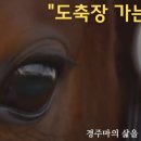 제주축산농협 육가공공장