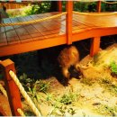 무주반딧불청소년수련원 이미지