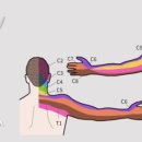 어튼의원 이미지