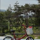 델루나 관광펜션