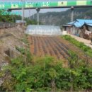 한반도면-9 이미지