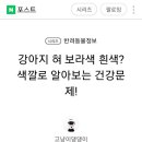 강아지 혀 색깔로 알아보는 건강문제 이미지