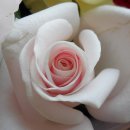 성산교회 이미지