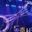 동춘서커스 공연장 이미지