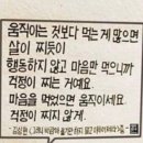 [호주 워홀 후기] 내 1년 간의 호주🇦🇺 워킹홀리데이 생활을 마치며 -2 케언즈편 👩‍💻