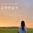 황금빛 | 전남 순천 가볼만한 곳: 흐린날 순천만습지에서 황금빛 노을 본 후기