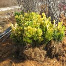 사철농장 이미지