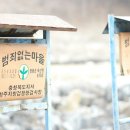 도덕리 티스토리
