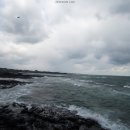 월정마니 이미지