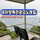 울릉도 모노레일 가격 태하향목 관광모노레일 대풍감