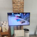 [라이크디즈위드] 꼬모소이 개인전 : 달콤한 추억의 숲(24.10.21 전시 관람)