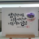 즐거운드라이세상 이미지