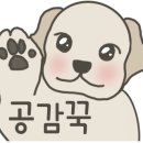 반자주 이미지