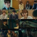 사랑스럽개 이미지