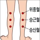 종아리 살빼기 이미지