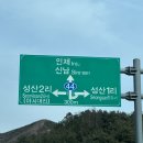 랄라민박 | [인제 보리네민박] 너무 좋았던 견종 제한 없는 반려견 동반 독채펜션