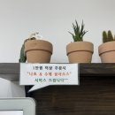 로꼬타코 | [경기 구리 맛집] 여기 멕시코 아니에요? <로꼬타코>