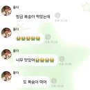 100 | 엔시티 위시 버블 전멤버 100일 후기 + 멤버 추천