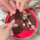 힘나는병원 | 1월 - 시작은 ㄱㅊ 마지막에 나댐 주의