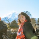 백석초 건너편 횡단보도 앞 | 도쿄 여행 당일치기 후지산 투어 버스 타고 포토존만 찍먹 후기