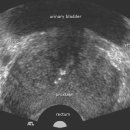 명비뇨기과의원 이미지
