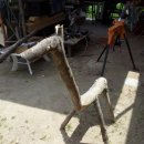 계곡사슴팬션 이미지