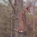 바라 이미지