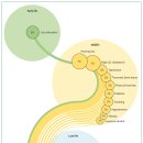 피할 수 없는 유해물질과 치매예방 | 2024년 란셋 보고서 전격 해부: 치매, 14가지 습관으로 45% 예방 가능합니다.