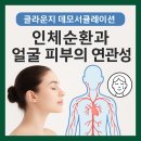 클라운지 데모서큘레이션 인체 순환과 얼굴 피부의 연관성
