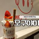 모구푸드 티스토리