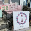 올랑올랑잡화점