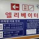 육회데이(DAY) | [부산 서면] 식단 관리도 맛있게! 포케올데이 서면점 | 육회 연어 조합 꿀맛 후기 🥗