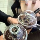 천안호두휴게소엔제리너스 이미지