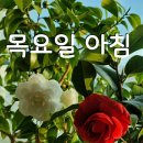 장산사 Daum카페