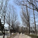 윔 보행운동센터 이미지