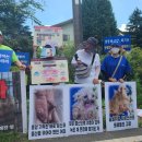 유성동양경매장 이미지