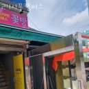 24시꽃 이미지