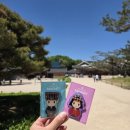 단청광고 | [서울 종로] 창덕궁 후기｜입장료 3,000원, 경복궁과 다른 조용한 고궁 산책